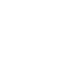 شاخه نبات